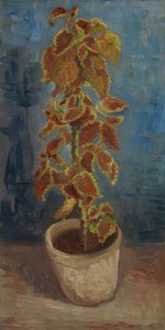 Ortica fiammeggiante in un vaso di fiori da Vincent van Gogh